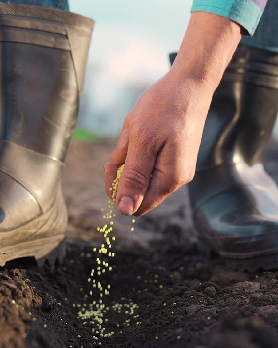 "Ну а что мне терять?": неожиданные причины стать предпринимателем