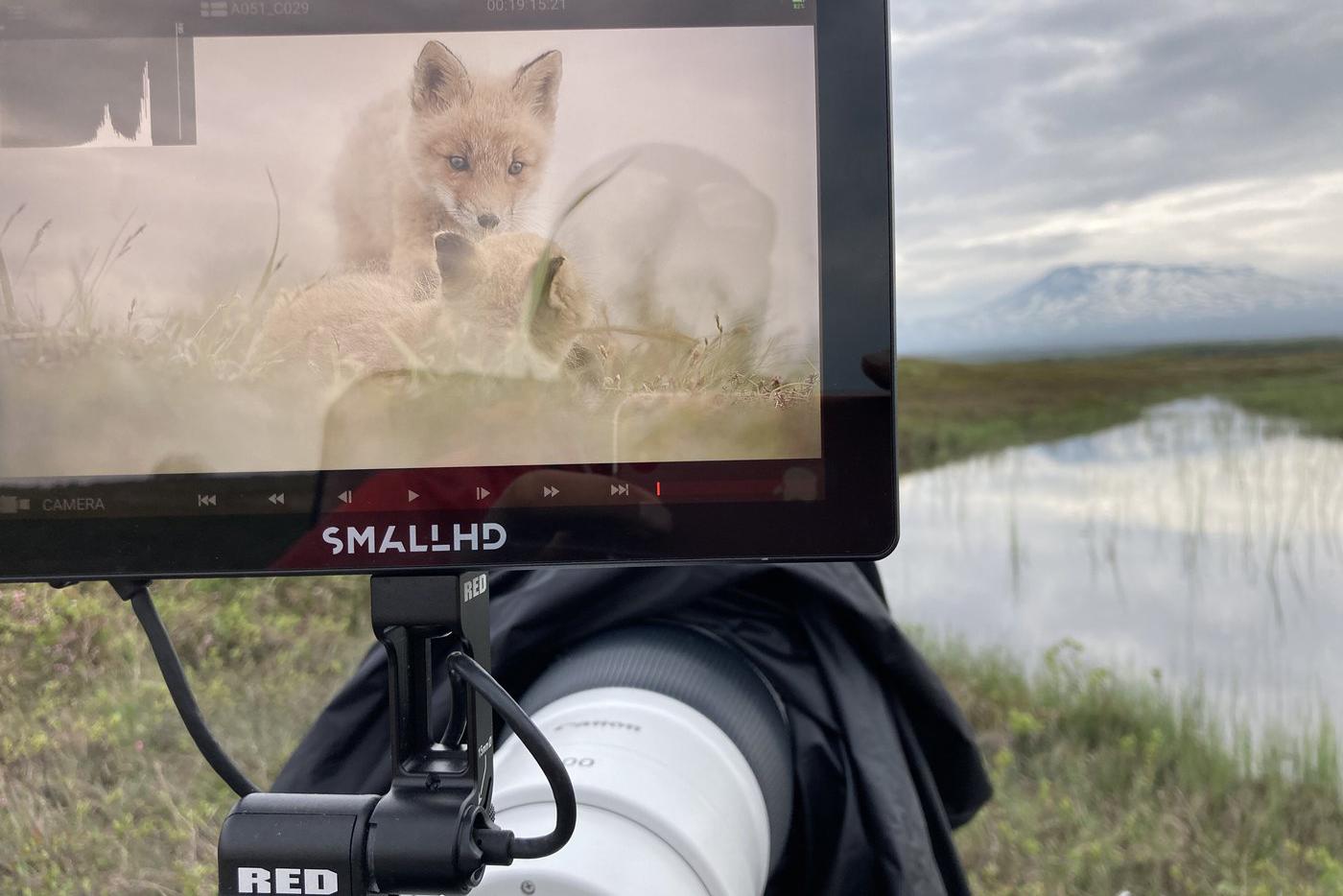 Фильм снят на камеру Red V-Raptor, на которую снимают боевики, и на фотоловушки. Ветра озвучил актёр дубляжа Олег Вирозуб. Он ранее озвучивал Орландо Блума в трилогии «Властелин колец»