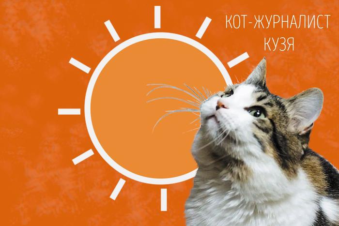 Кот Кузя сообщает: пришло долгожданное тепло