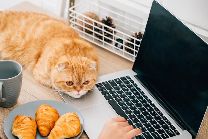 "Лучше разместить плохенькое резюме, чем не разместить вовсе": 4 стратегии поиска работы