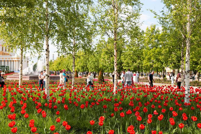 Воздух в столице прогреется до рекордных значений уже к следующим выходным