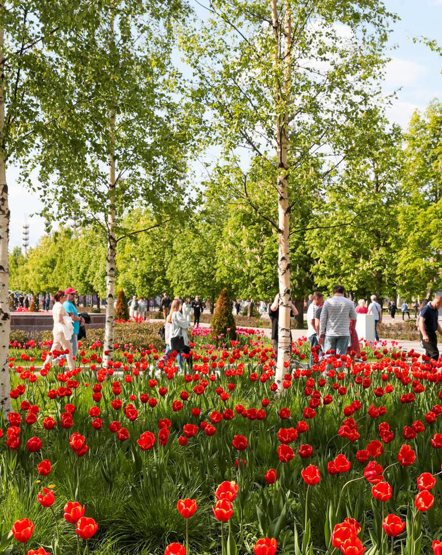 Воздух в столице прогреется до рекордных значений уже к следующим выходным