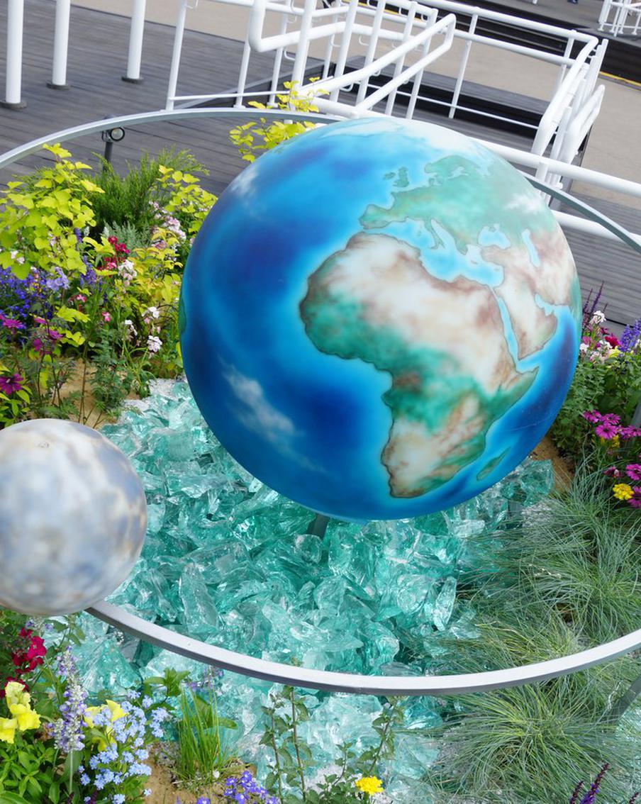 Вся Россия расцвела на ВДНХ. Там открылся фестиваль "Будущее в цветах"