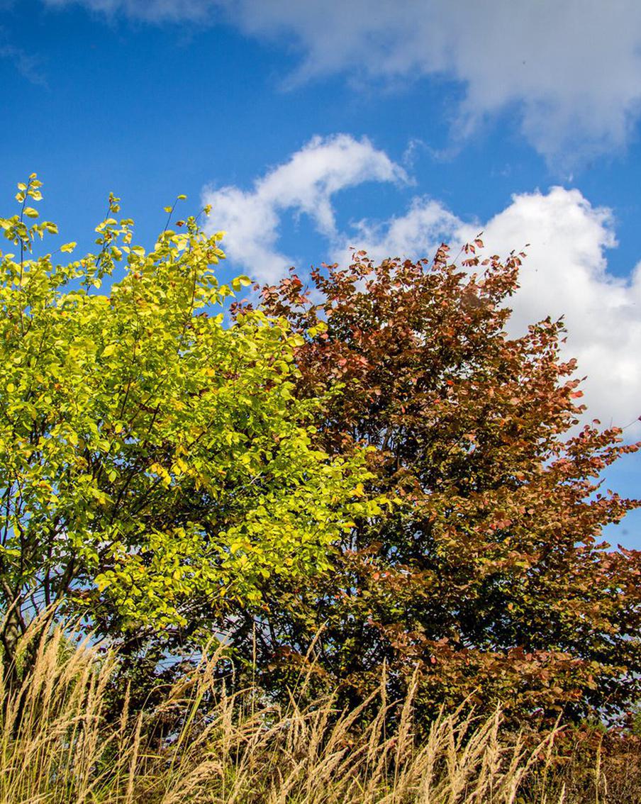 В парках Подмосковья появились фонтанчики, помогающие безопасно избавляться от жажды