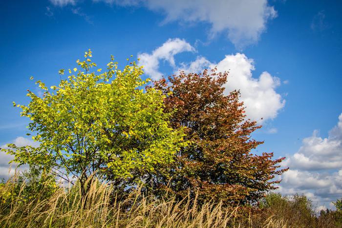 В парках Подмосковья появились фонтанчики, помогающие безопасно избавляться от жажды