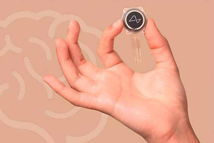 Какие технические сложности и скандальные отставки могут помешать Neuralink улучшить жизнь паралитиков