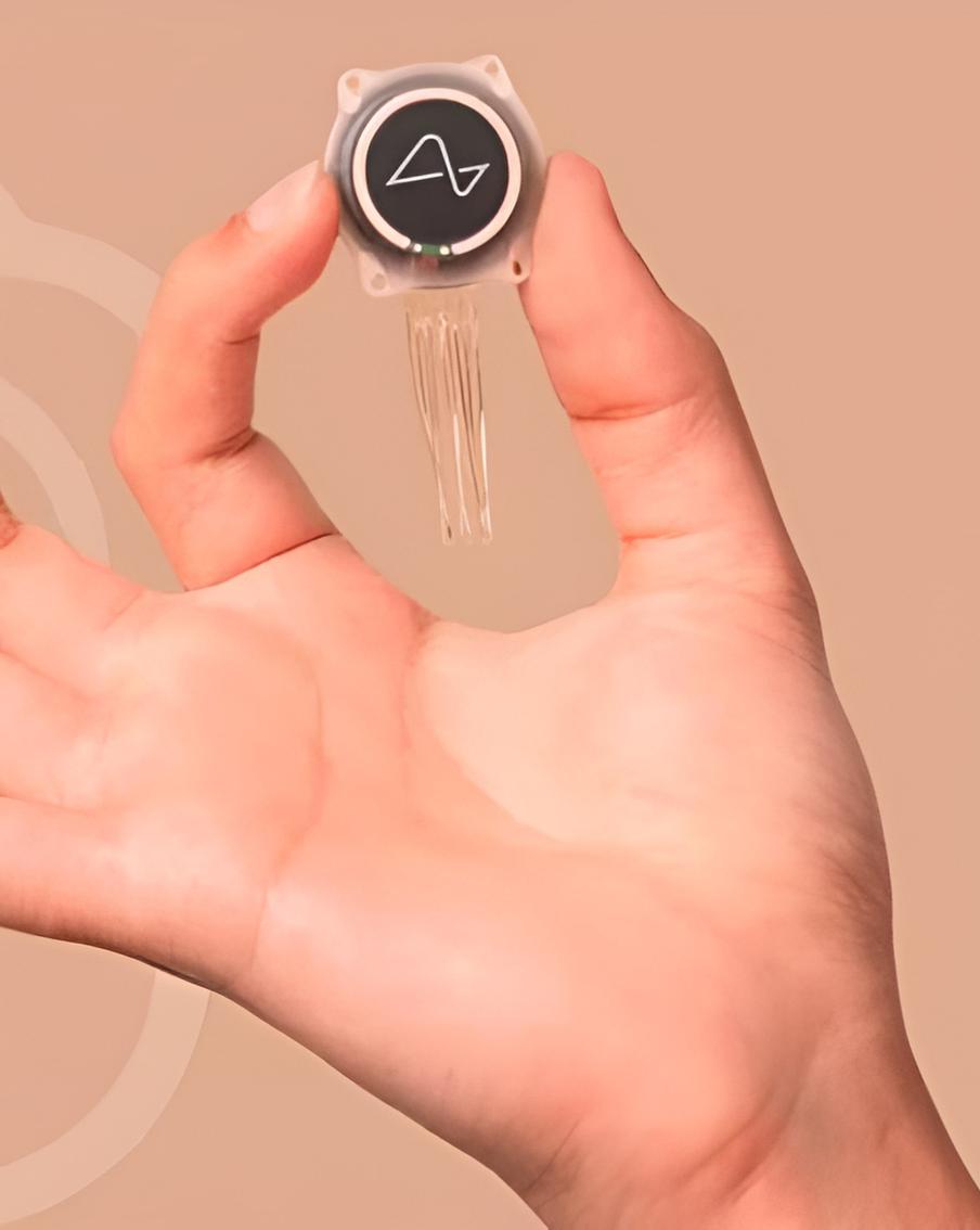 Какие технические сложности и скандальные отставки могут помешать Neuralink улучшить жизнь паралитиков