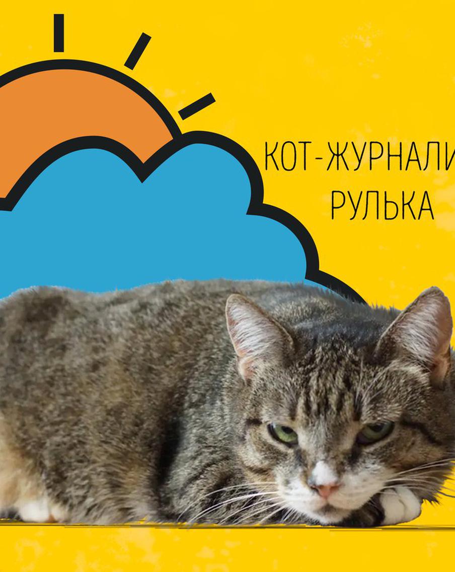 Рулька поздравляет москвичей с метеорологическим летом