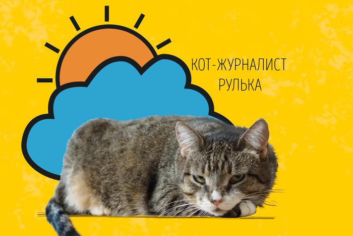 Рулька поздравляет москвичей с метеорологическим летом