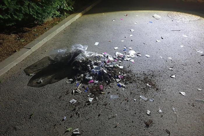 Северная Корея отправила 150 воздушных шаров с мусором и навозом в Южную