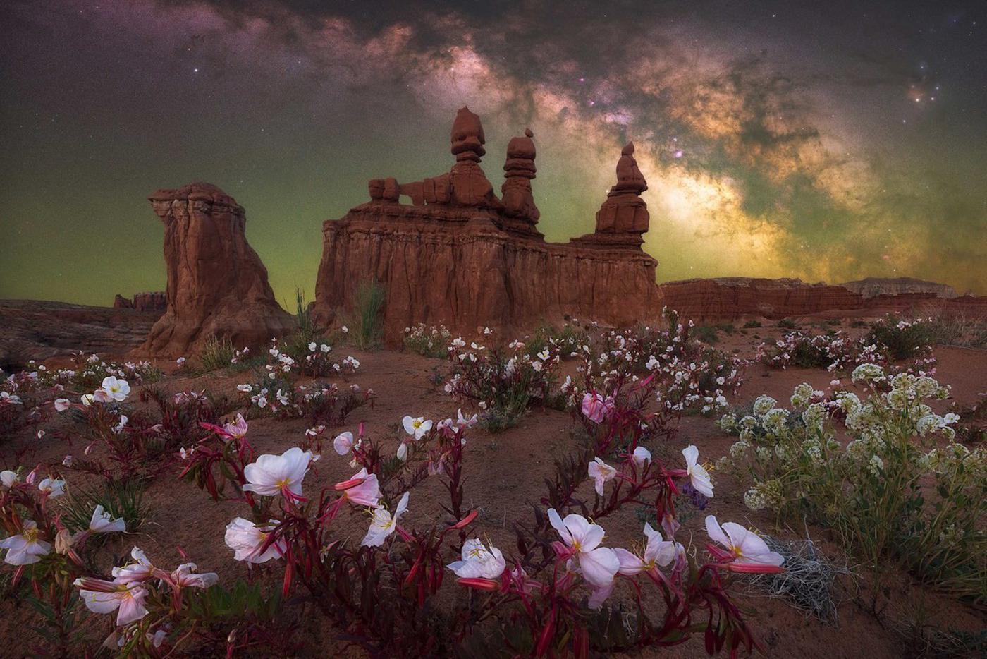 Снять Млечный Путь удаётся лишь избранным – лучшие фотографии