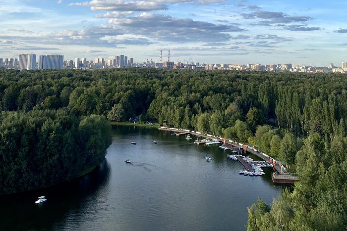 Синоптик рассказал жителям Москвы и Подмосковья о погоде в эту среду, 29 мая