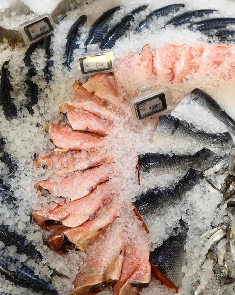 Во время фестиваля "Москва – на волне. Рыбная неделя" гостей ожидает множество развлечений