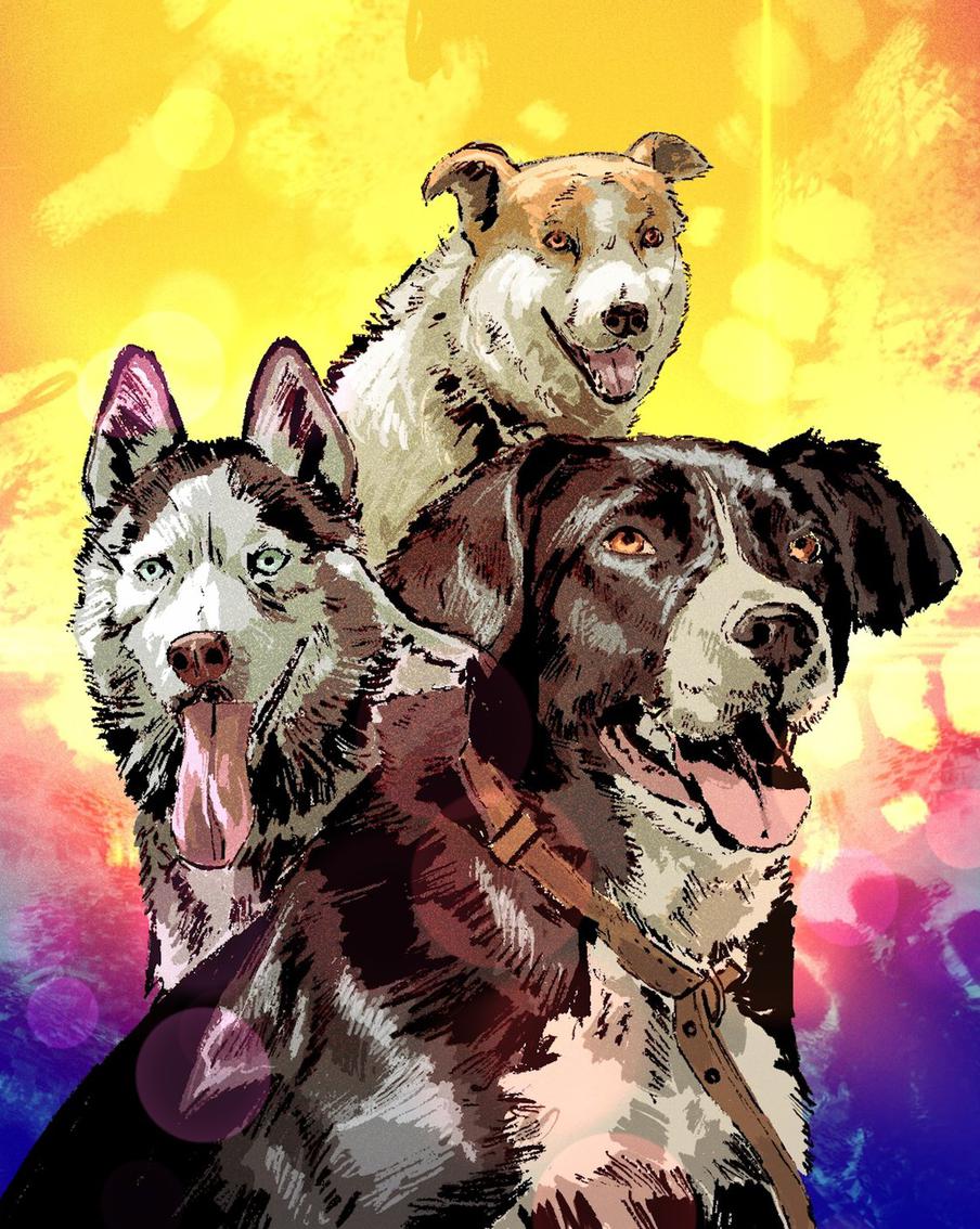 Модному мальчику не хватает гулянок, в приюте этого ждут неделями. Хаски выгулял репортёра Metro – или наоборот?