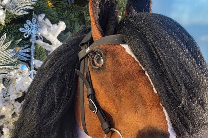 Что такое "хоббихорсинг" и почему дети в таком восторге от этого занятия