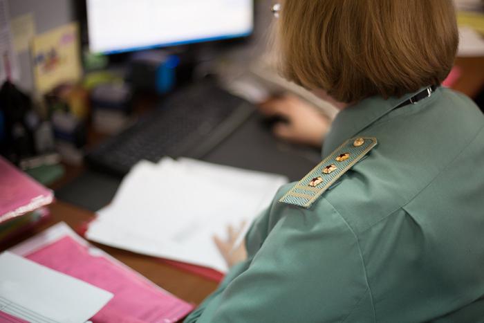 Российские таможенники пресекли контрабанду военной продукции в США