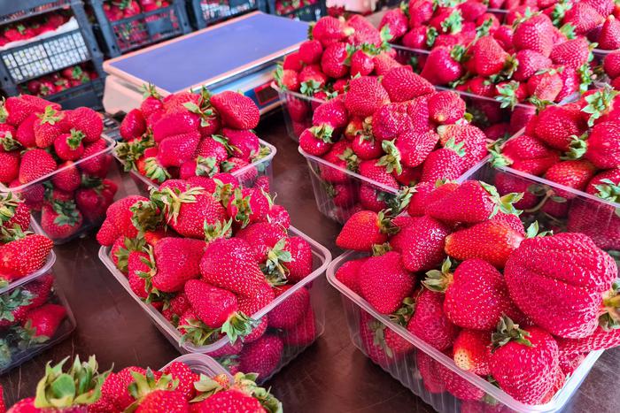 Сладкая и дорогая: как и почему выросла в цене клубника