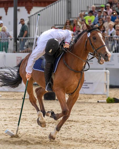 Конный спорт и Суперфинал Кубка России по футболу: на какой спорт москвичу сходить в ближайшие дни