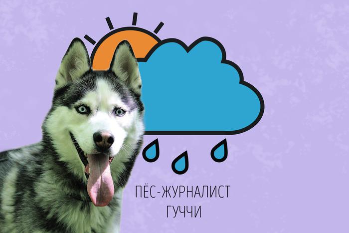 Гуччи прогнозирует: жара сохранится до конца недели