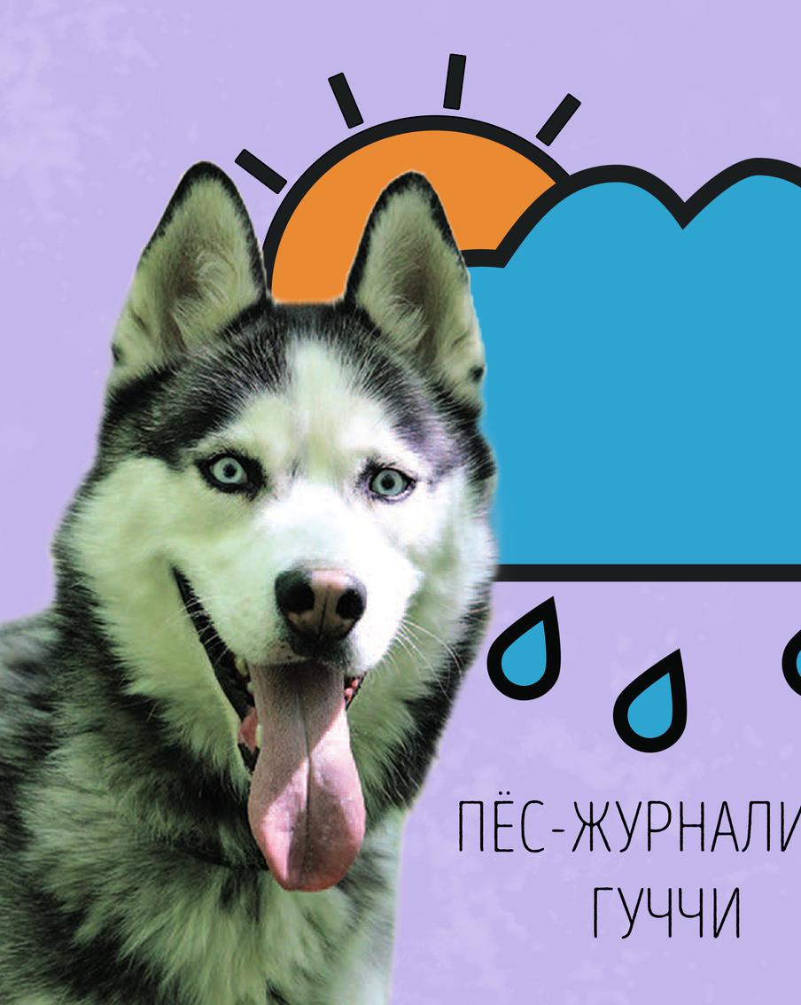 Гуччи прогнозирует: жара сохранится до конца недели