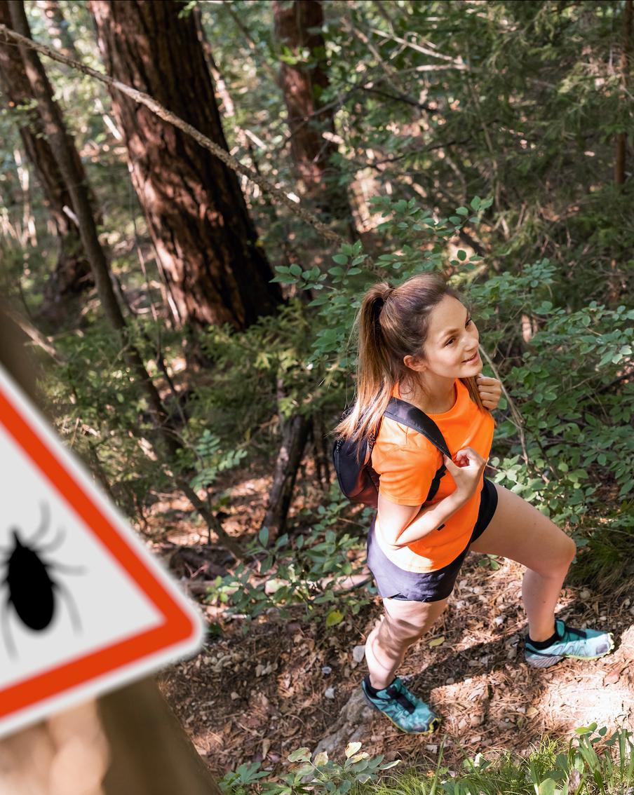 Клещи-переносчики конго-крымской геморрагической лихорадки попали из Африки в Европу
