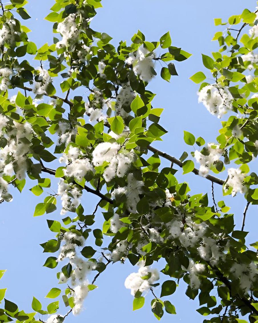 Москвичам рассказали о том, какую погоду им ожидать в самый первый летний выходной день