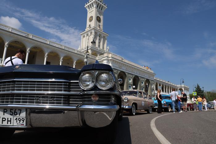 Красотка приехала на ралли прямиком с пельменного завода