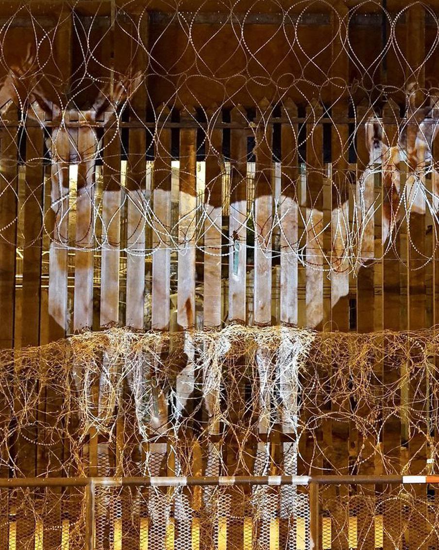 Стена между США и Мексикой противоречит законам дикой природы