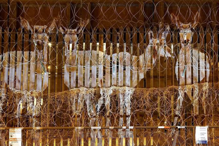 Стена между США и Мексикой противоречит законам дикой природы