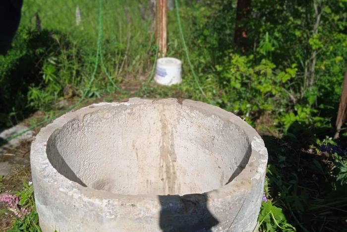 Даму с собачкой вызволили из колодца в Подмосковье