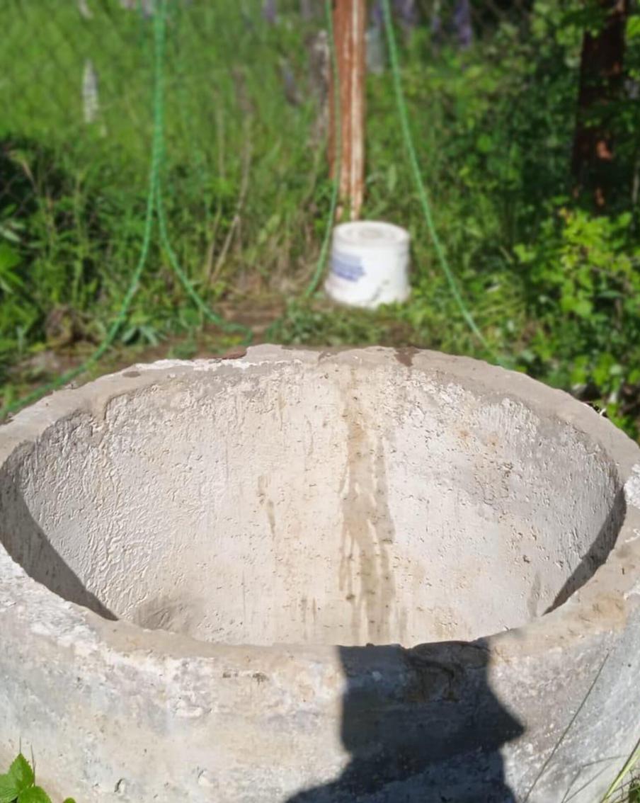 Даму с собачкой вызволили из колодца в Подмосковье