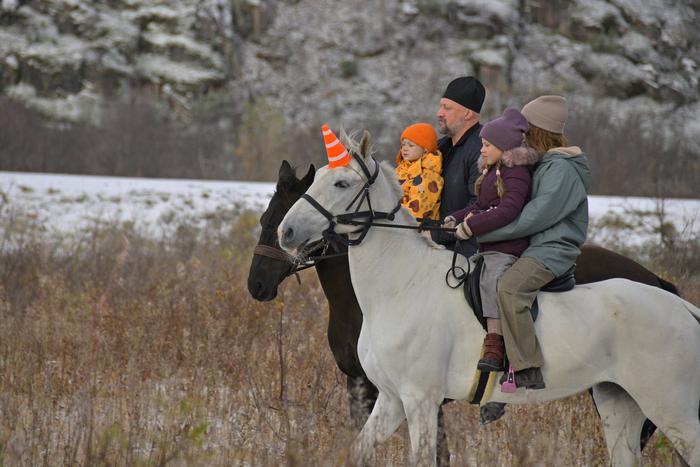 В третьих "Непослушниках" Владимира Котта цирк в церкви сменился на цирк с конями