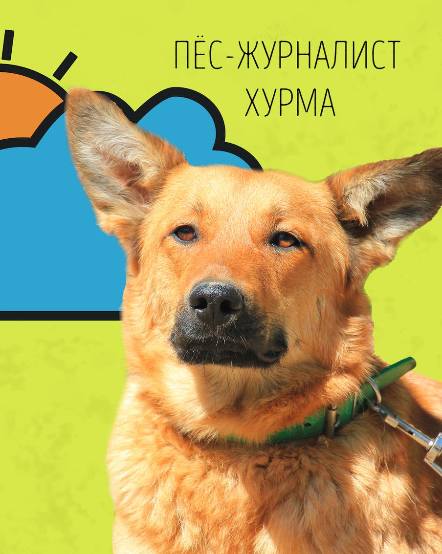 Хурма предупреждает: дожди отступают, а жара – нет