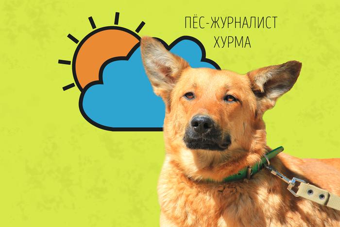 Хурма предупреждает: дожди отступают, а жара – нет