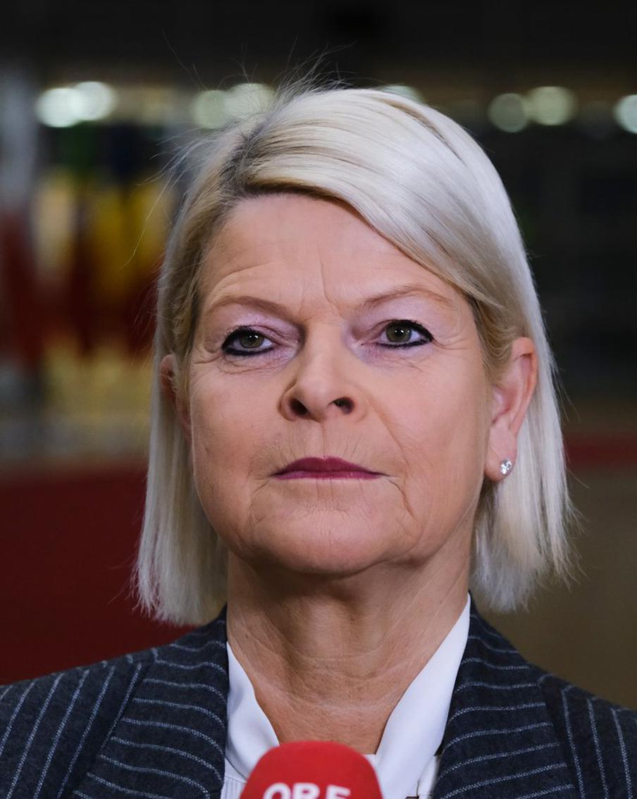 Австрийское минобороны раскритиковало снятие запрета на удары по российской территории для Украины