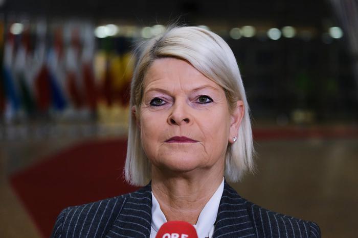 Австрийское минобороны раскритиковало снятие запрета на удары по российской территории для Украины