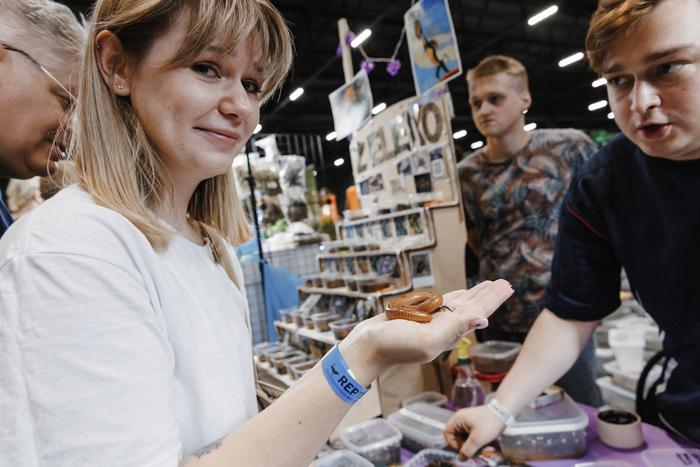 "Не линяют и не орут": каких питомцев любят заводить москвичи