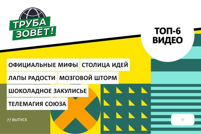 Как эстонские рекламщики продвигали несуществующие товары, где бьётся креативное сердце столицы и какие собаки всегда бывают добрыми?