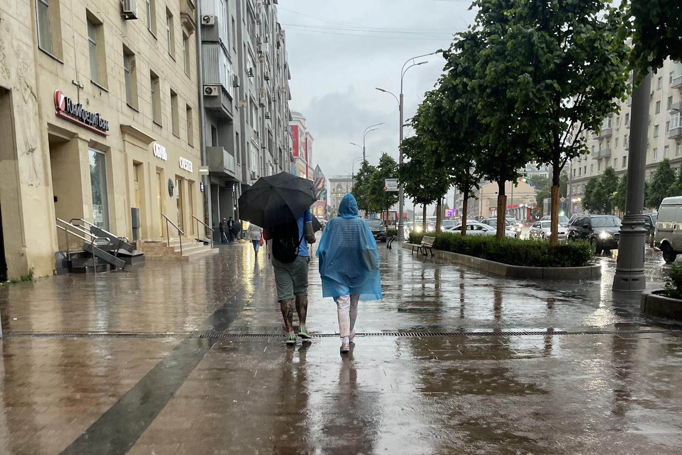Синоптик рассказала, где в Москве выпало больше всего осадков 13 июня