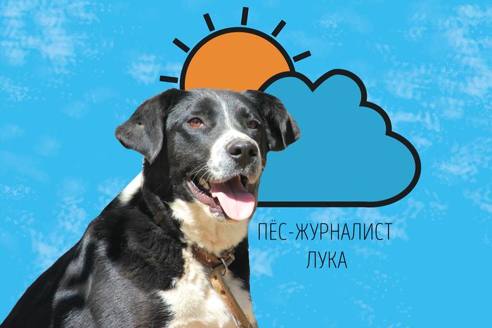 Лука рад сообщить: в выходные обойдётся без дождей