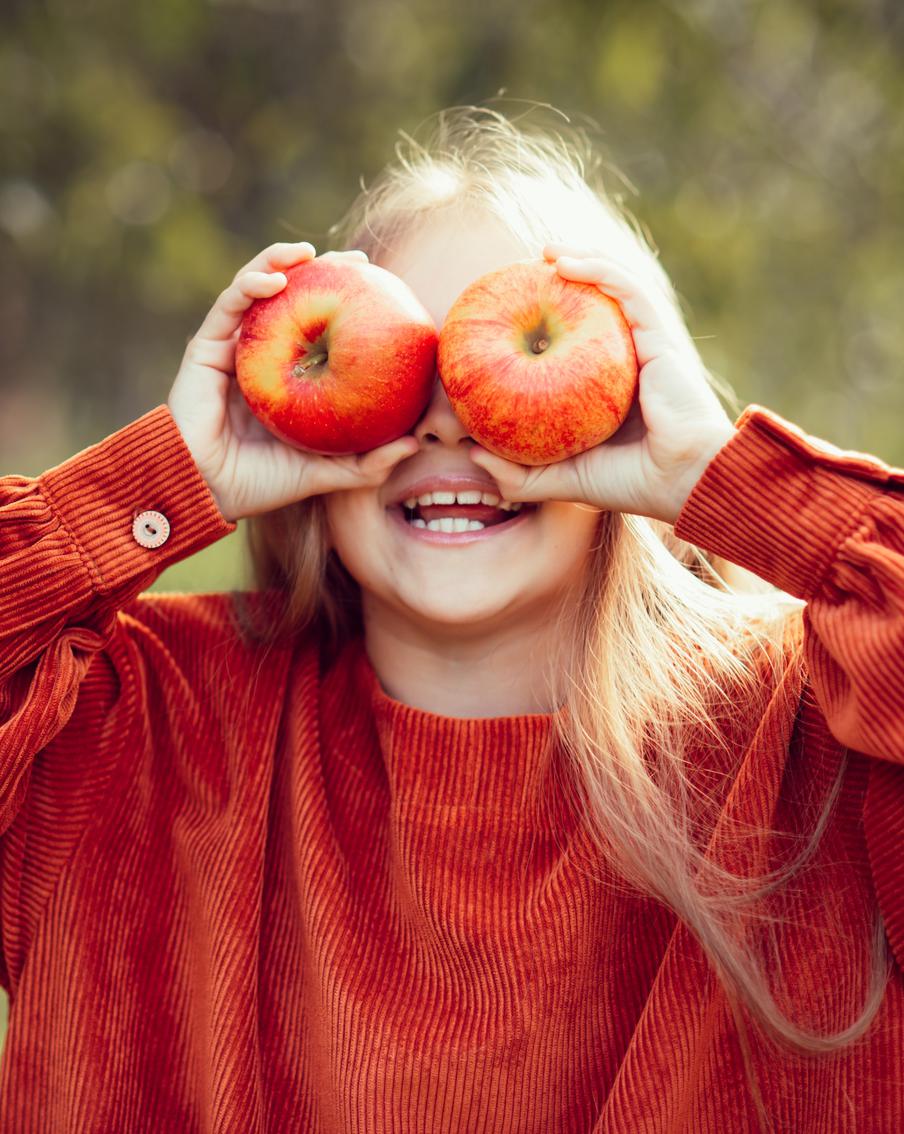 Фастфуд "отбивает" память даже у крыс. Наука приводит новые доказательства