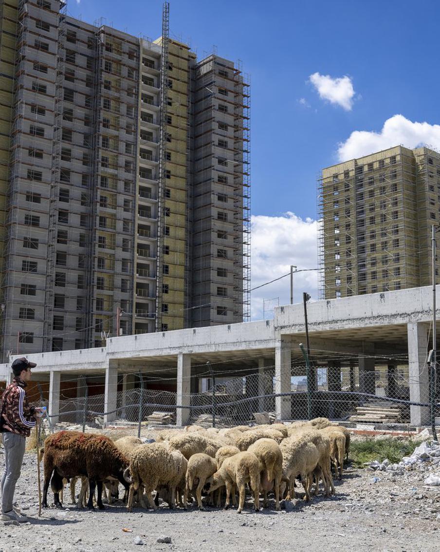 В Турции при жертвоприношениях в Курбан-байрам пострадали 16 тыс. человек