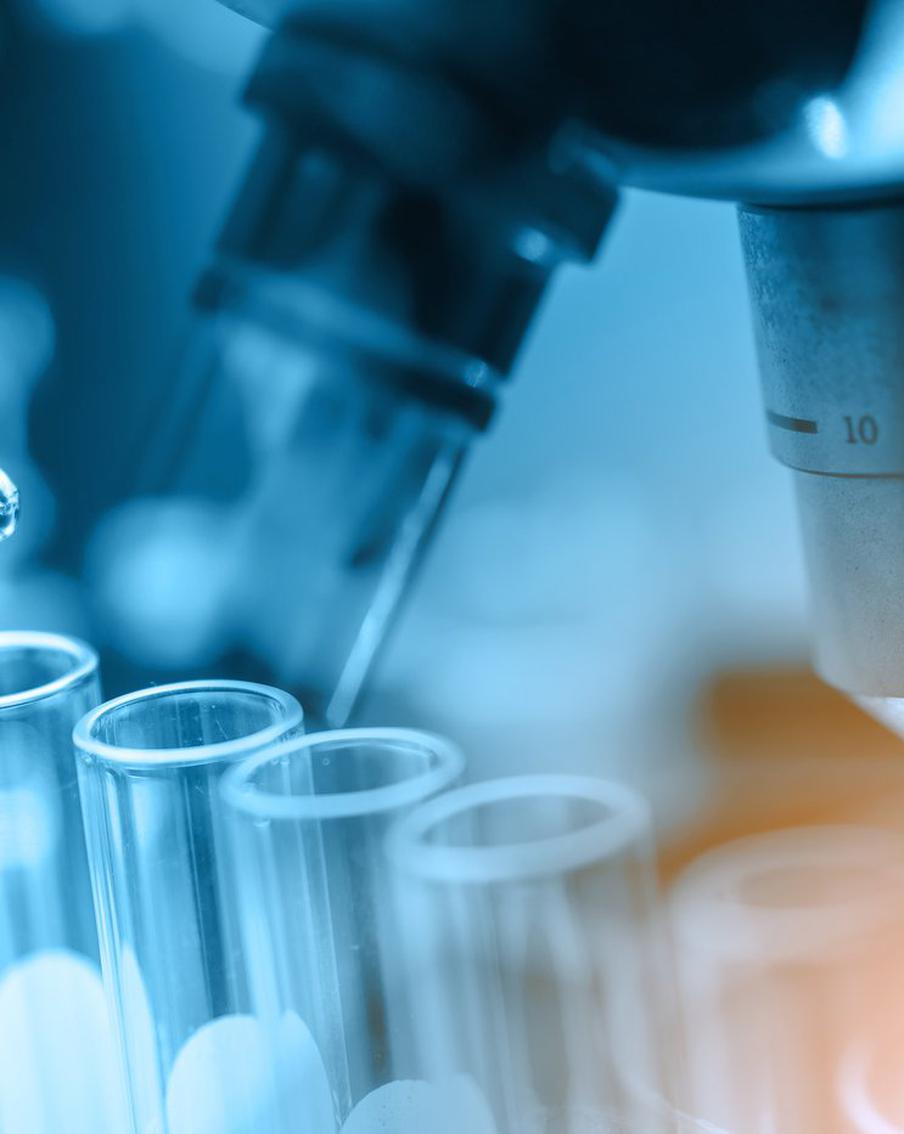 Каждый 500 опубликованный научный труд – фейк. Мировое научное сообщество бьёт тревогу