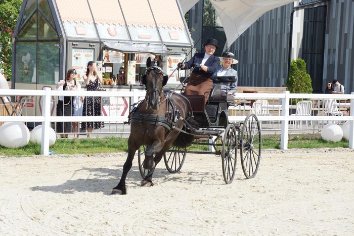 Эмер Фан Бууренс Хинстеблом и Мармелад выиграли соревнования по дрессажу на ВДНХ