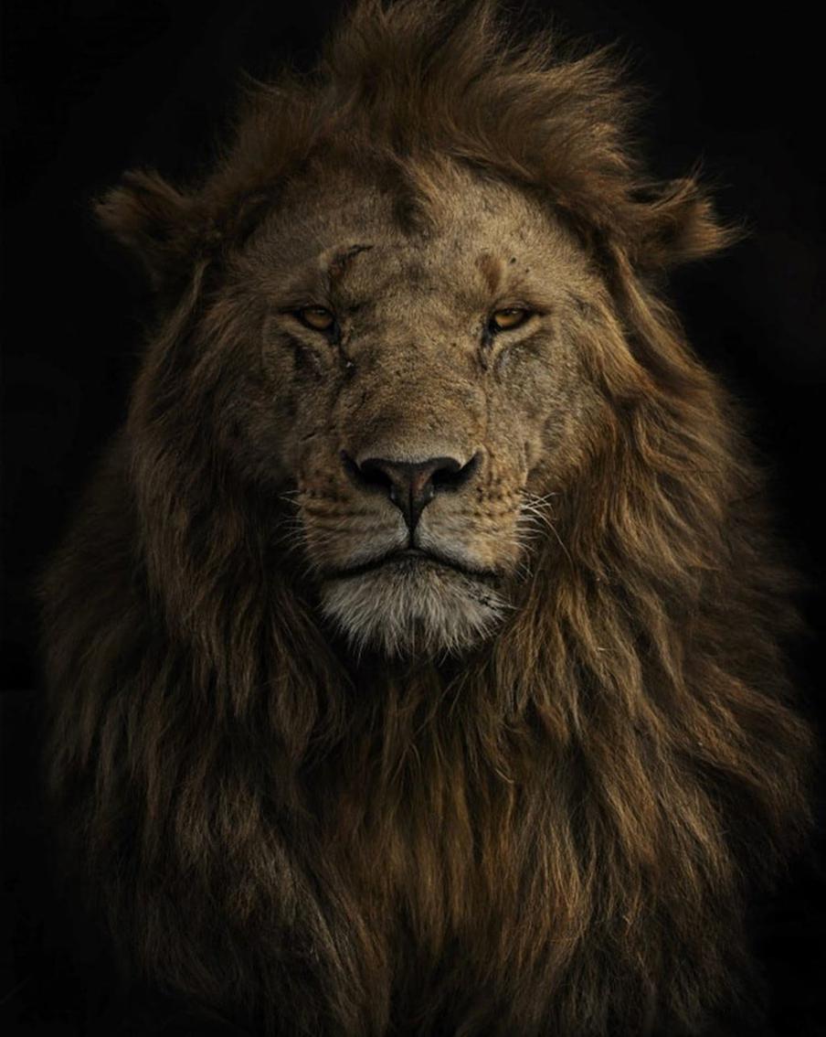 "Памяти Олоборо"