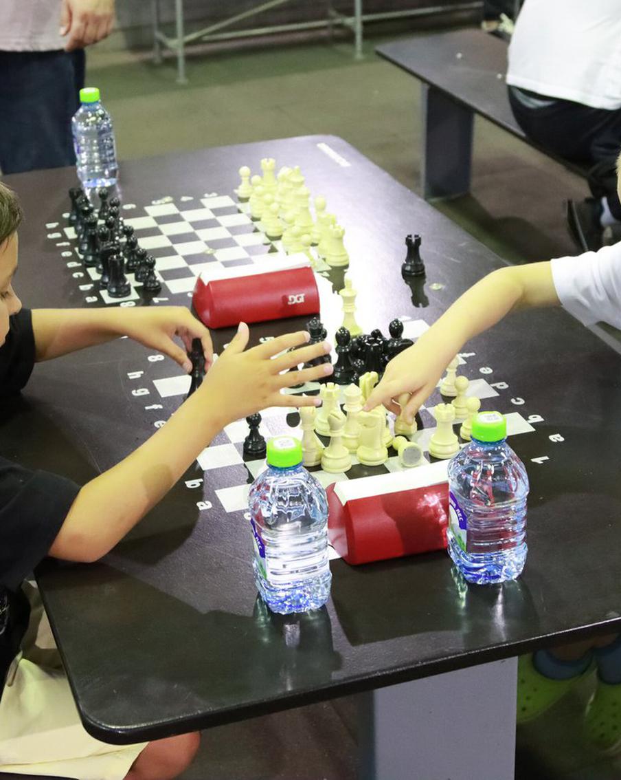 В каких парках сделать ход и поставить мат