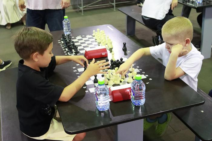 В каких парках сделать ход и поставить мат