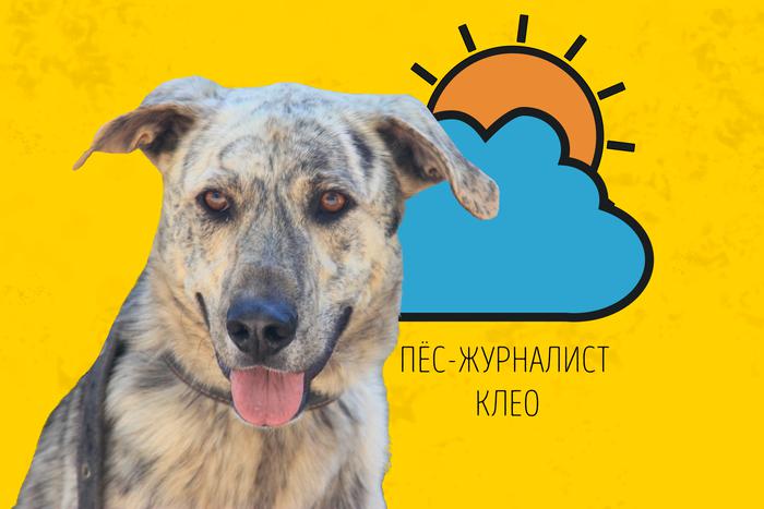 Клео предупреждает: не упустите солнечный день