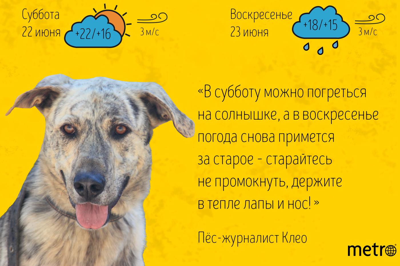 Клео предупреждает: не упустите солнечный день.