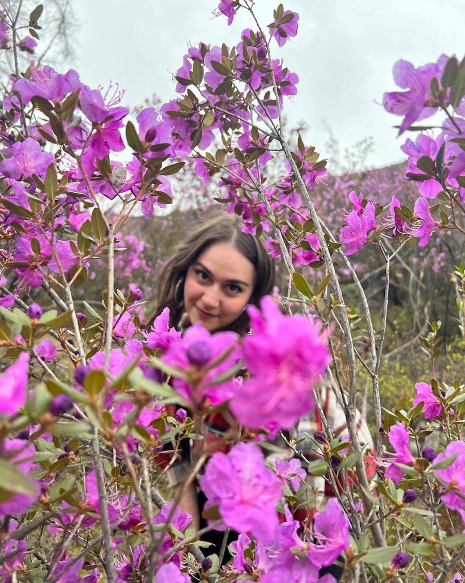 Тот самый маральник, за которым я охотилась. Вблизи цветочки маленькие, снимать их сложно, поэтому, если хотите классные снимки, посмотрите заранее, как фоткаются другие.